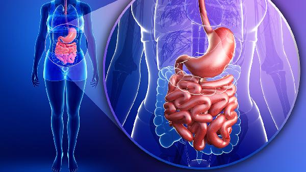 食管恶性肿瘤继发食管胸膜瘘诊疗指南与病例分析